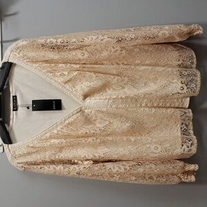 Sheilay Rose Gold Shimmer Lace Overlay V-neck Long Sleeve Top, Medium